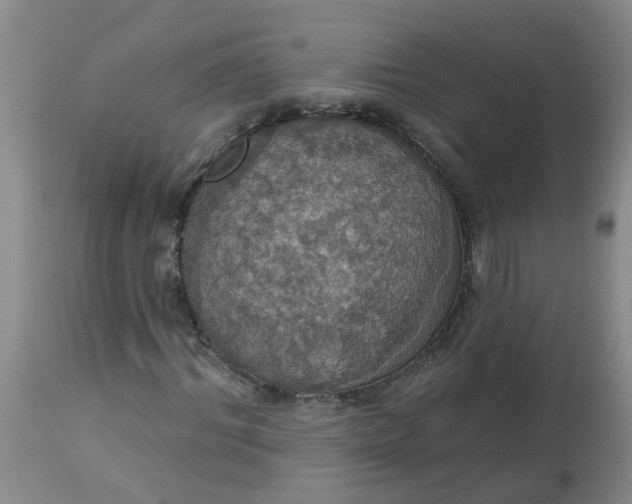 X0000113230964200910011405