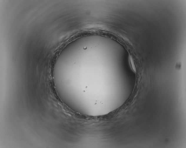 X0000113230965200910011405