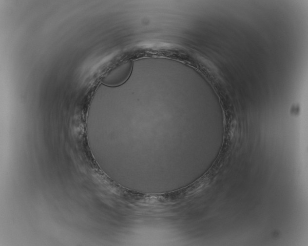 X0000113230966200910011405