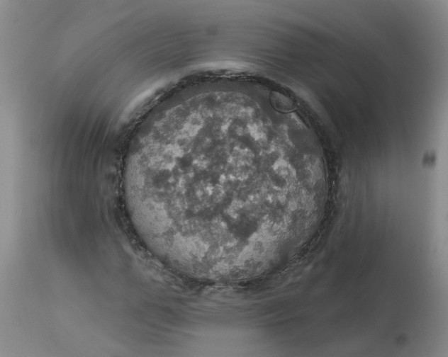 X0000113230967200910011405