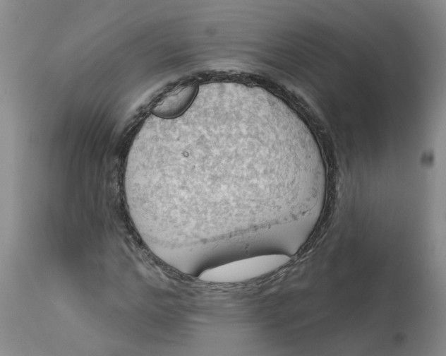 X0000113230968200910011405