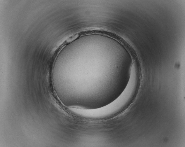 X0000113230969200910011405