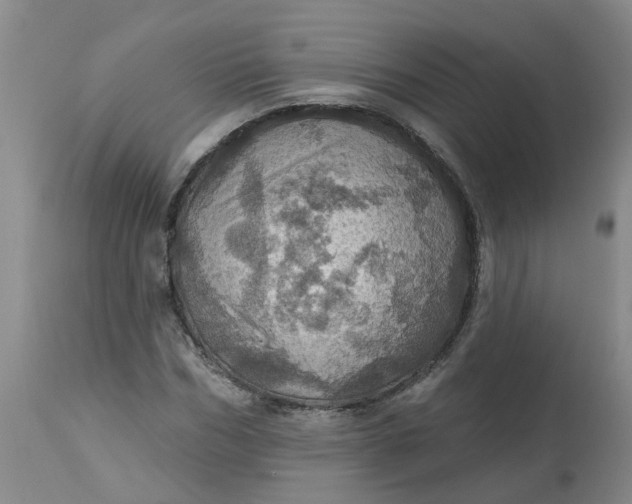 X0000113230970200910011405