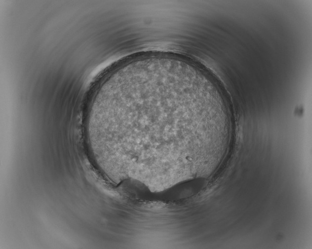 X0000113230971200910011405