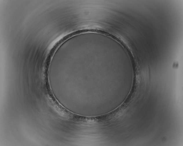 X0000113230975200910011405