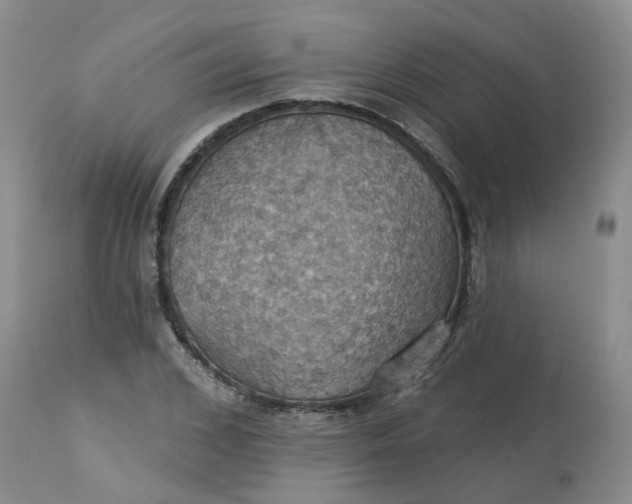 X0000113230976200910011405