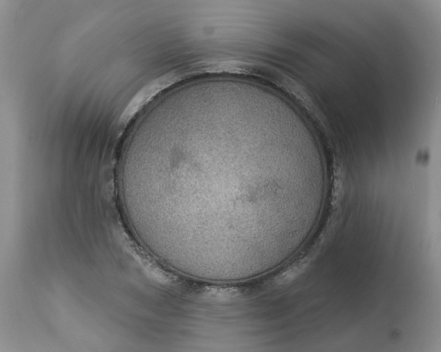 X0000113230978200910011405