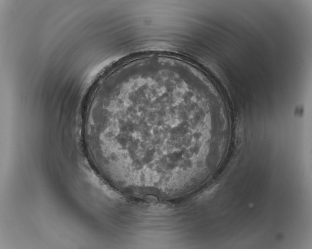 X0000113230979200910011405