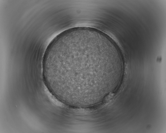 X0000113230980200910011405