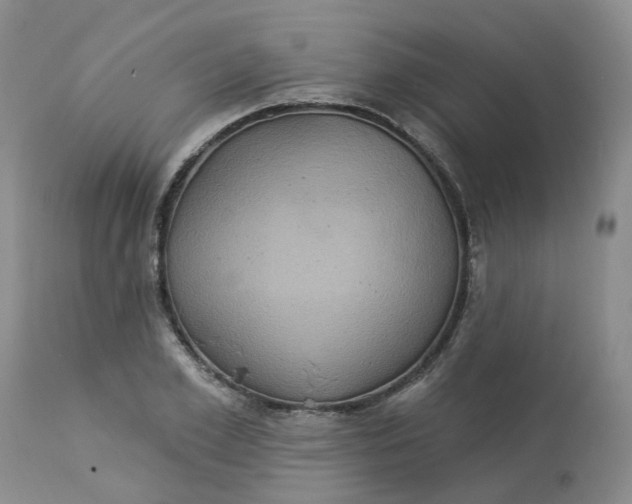 X0000113230981200910011405