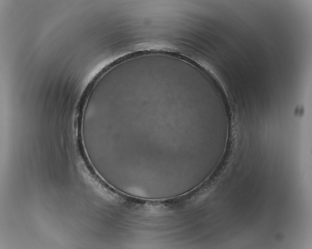 X0000113230983200910011405