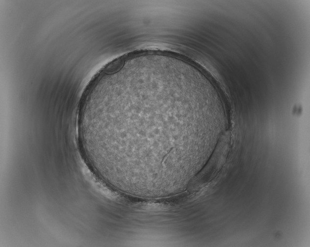 X0000113230984200910011405