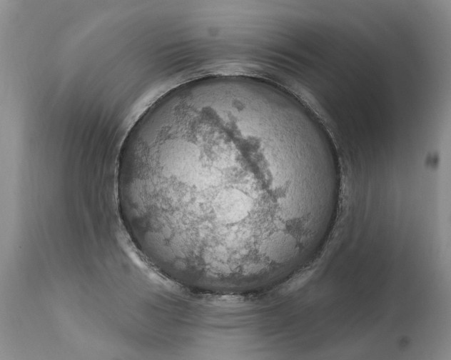 X0000113230986200910011405