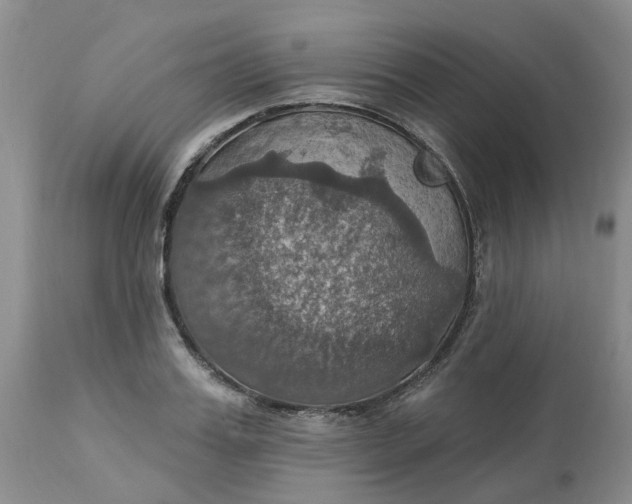 X0000113230987200910011405