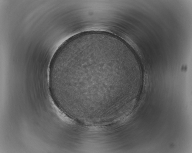 X0000113230988200910011405