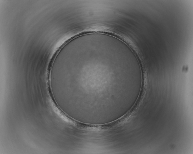 X0000113230990200910011405