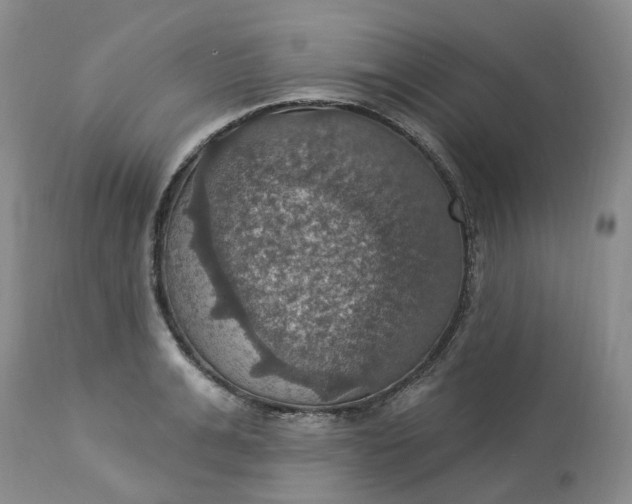 X0000113230991200910011405