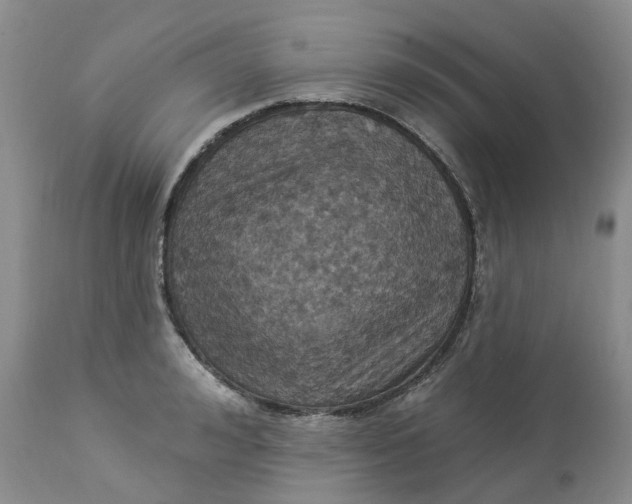 X0000113230992200910011405