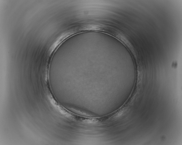 X0000113230994200910011405