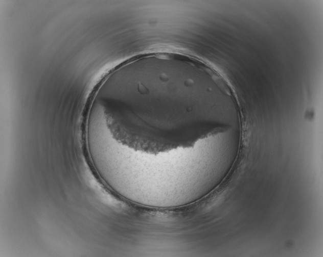 X0000113230995200910011405