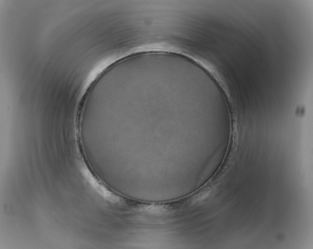 X0000113230998200910011405