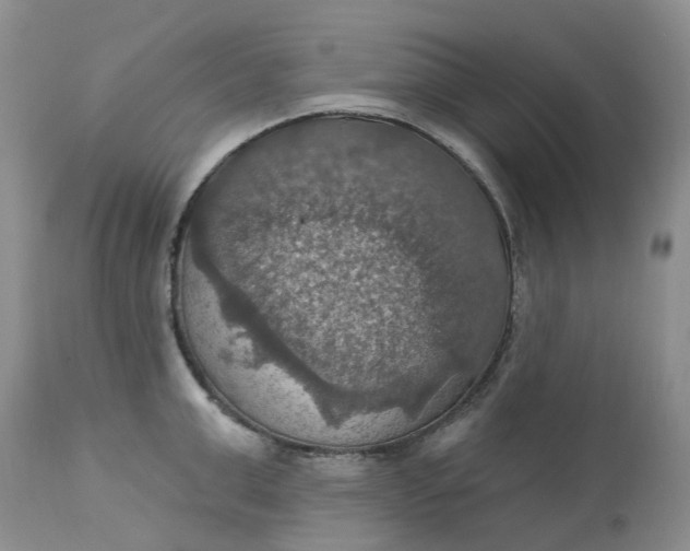 X0000113230999200910011405