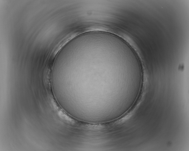 X0000113231001200910011405