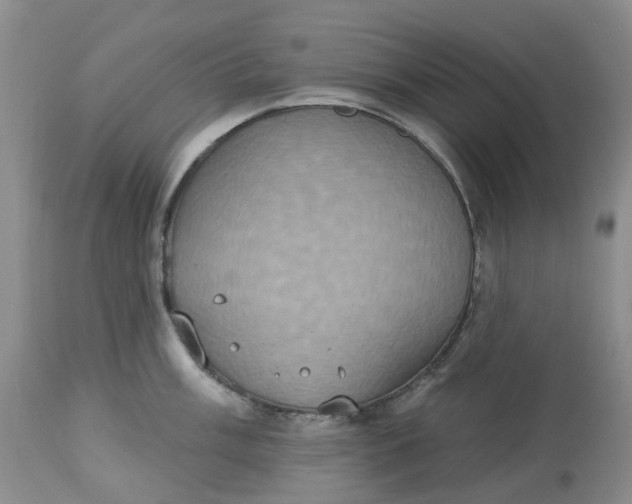 X0000113231003200910011405