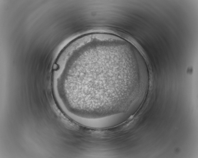 X0000113231004200910011405