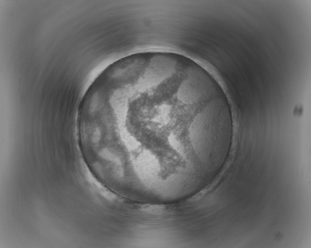 X0000113231006200910011405