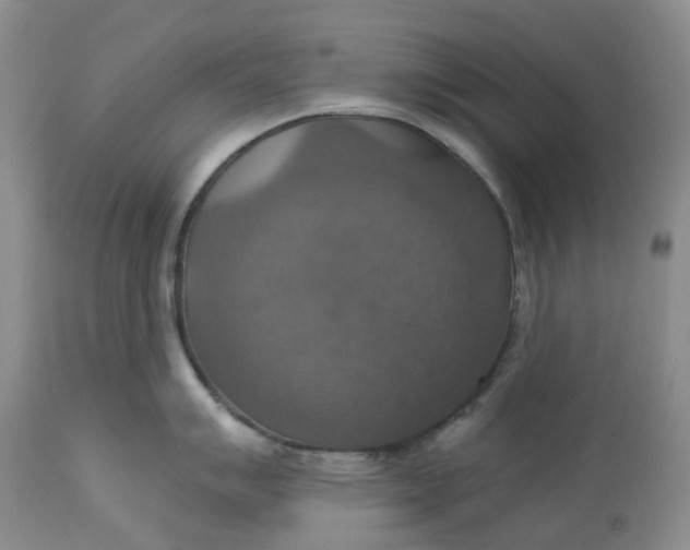 X0000113231007200910011405