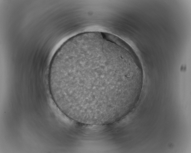 X0000113231008200910011405