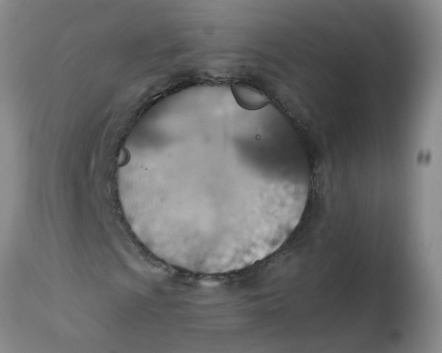 X0000113231009200910011404