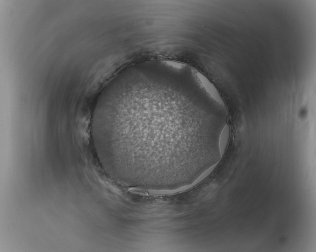 X0000113231010200910011404