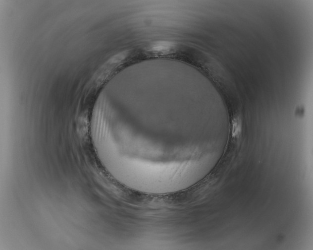 X0000113231011200910011404