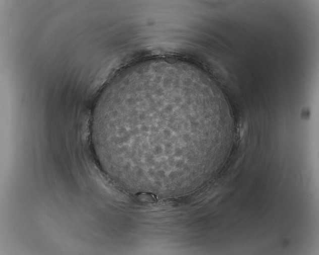 X0000113231012200910011404