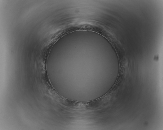 X0000113231013200910011404