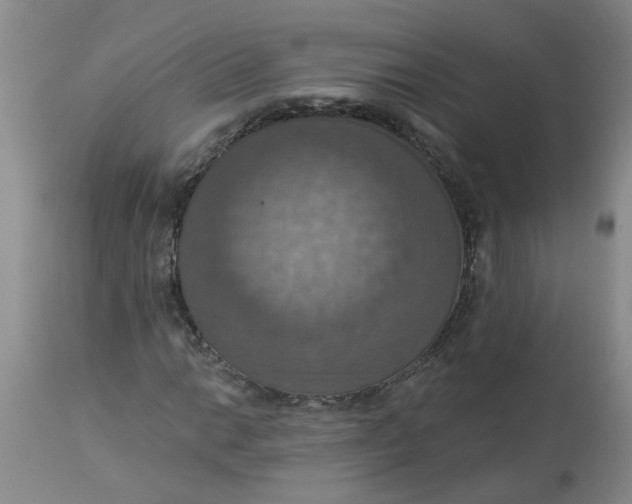 X0000113231014200910011404