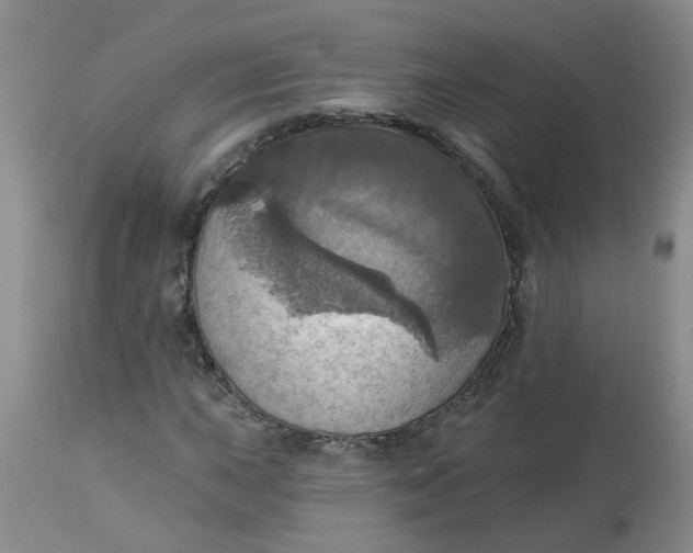 X0000113231015200910011404