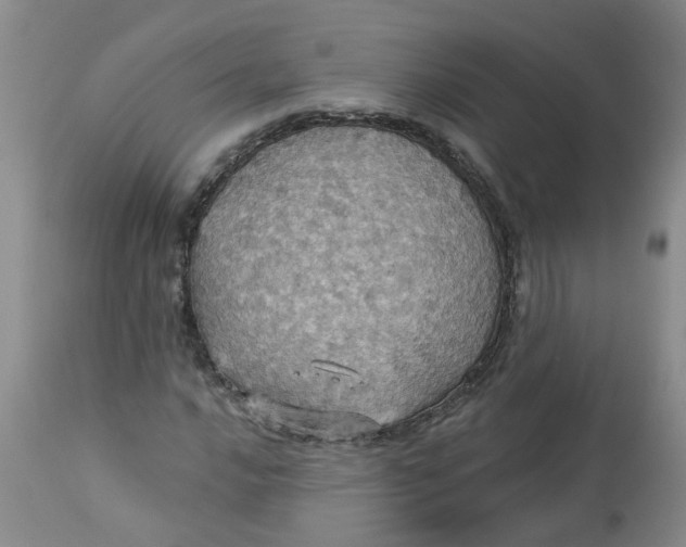 X0000113231016200910011404