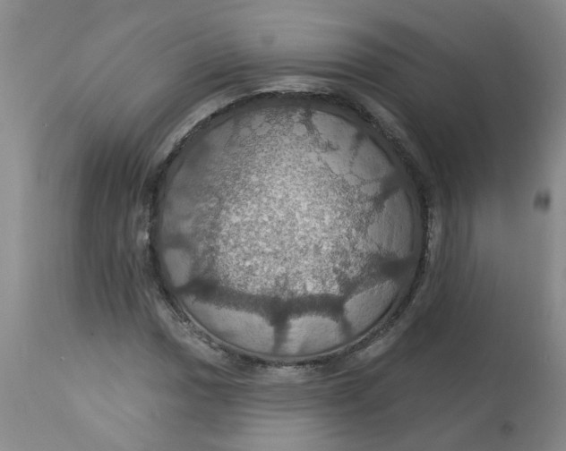 X0000113231017200910011404