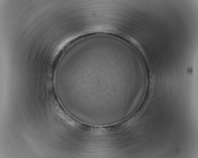 X0000113231019200910011404