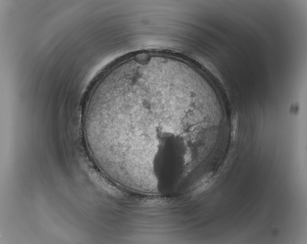 X0000113231021200910011404