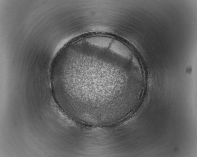 X0000113231022200910011404