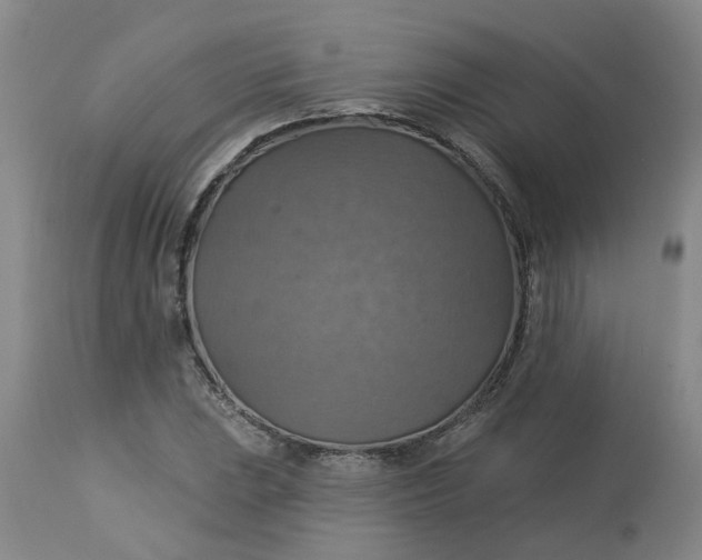 X0000113231023200910011404