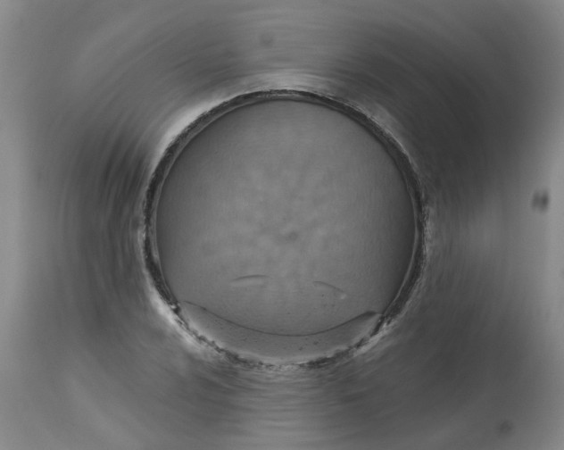 X0000113231024200910011404