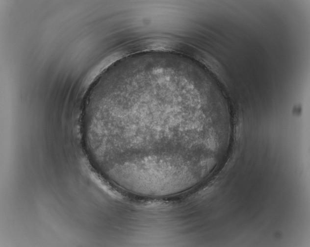 X0000113231026200910011404