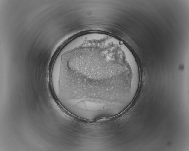 X0000113231028200910011404