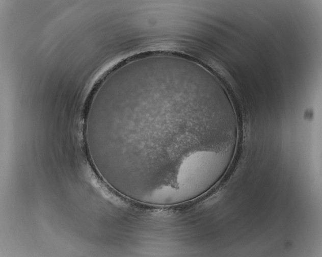 X0000113231029200910011404