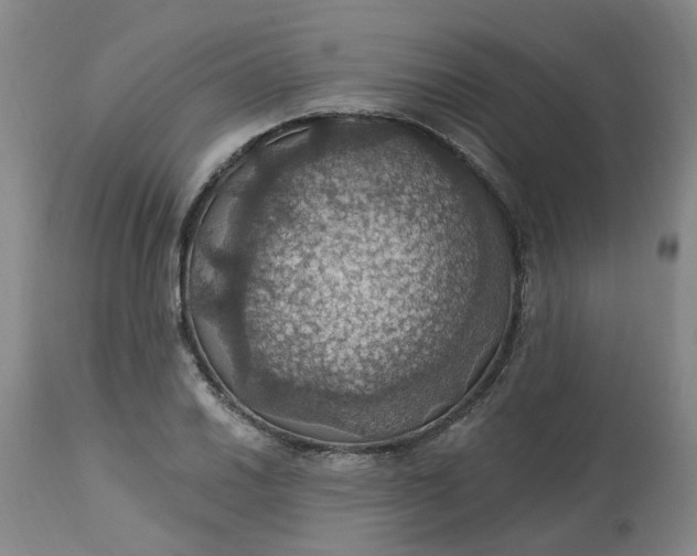 X0000113231030200910011404